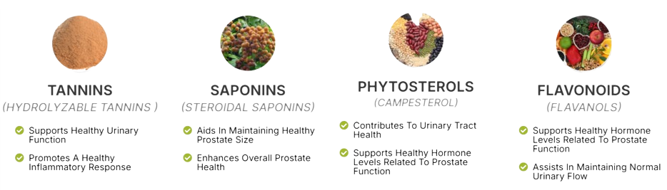 ProstaPure Key Ingredients